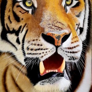 Voice of the Wild