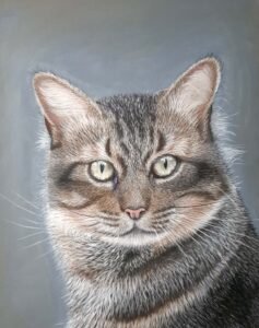 12_Grey_Cat_Portrait