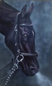 14_Horse_Portrait_Blue_Background